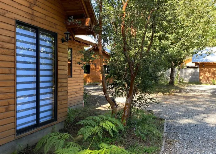 Cabanas Entre Arboles Pucon